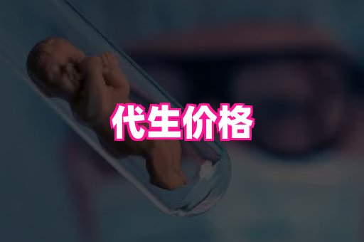 swisee孕网 3